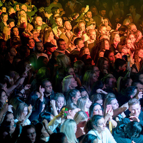 crowd of people at concert